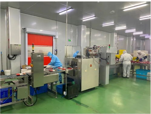 陣容強大，明天再聚青島 金融服務(wù)的新征程