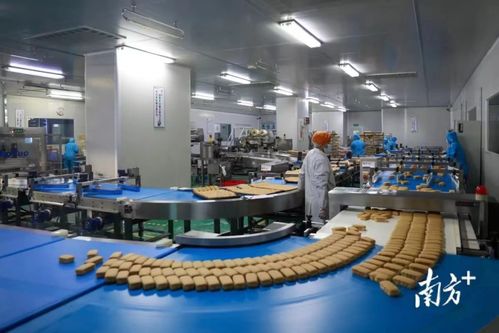 東莞市政府發(fā)布2022年一號文，大力推動數(shù)字經(jīng)濟高質(zhì)量發(fā)展與金融服務(wù)深度融合