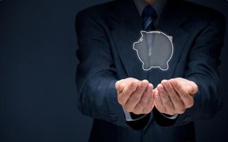 魚貓金服 金融服務(wù)全解析，讓財富管理觸手可及